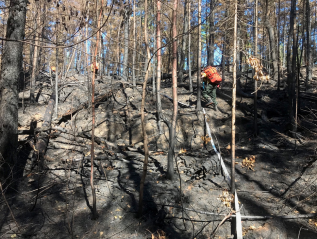 Firefighters in the Field: Highs and Lows at Bull Frog Lake
