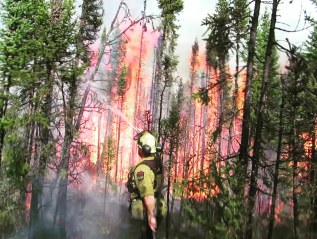 Firefighters in the Field – A Flap of Wildfires